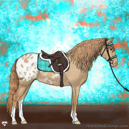 Horse Color:Red Dun Appaloosa 