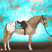 Horse Color:Red Dun Appaloosa 