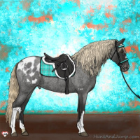 Horse Color:Liver Red Roan Appaloosa 