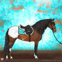 Horse Color:Bay Snowcap 