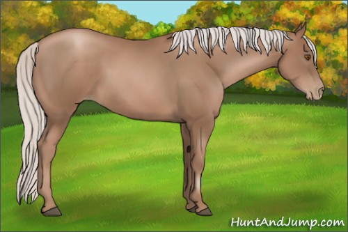 Horse Color:Silver Black Pearl 