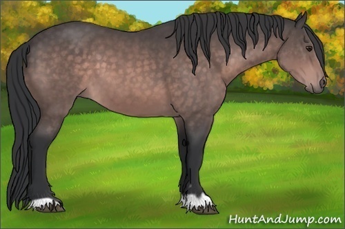 Horse Color:Platinum Brown 
