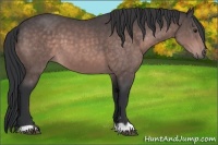 Horse Color:Platinum Brown 