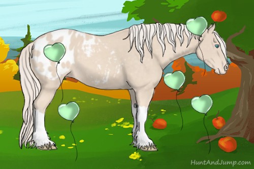 Horse Color:Cremello Appaloosa 