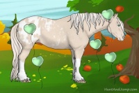 Horse Color:Cremello Appaloosa 