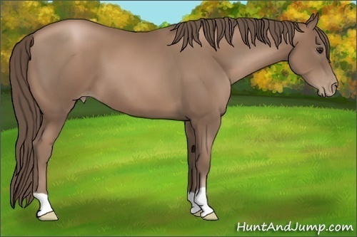 Horse Color:Black Pearl