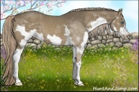 Horse Color:Liver Chestnut Splash Frame
