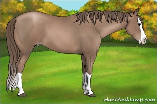 Horse Color:Black Pearl Splash 