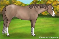 Horse Color:Black Pearl Splash 