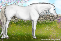 Horse Color:Liver Chestnut Sabino Splash Appaloosa 