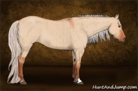 Horse Color:Silver Bay Roan Dun Brindle 