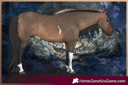 Horse Color:Brown Dun Tobiano 