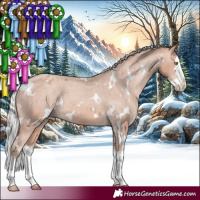 Horse Color:White Spotted Silver Amber Champagne Splash Appaloosa 