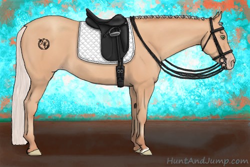 Horse Color:Silver Amber Champagne 