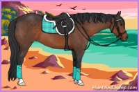 Horse Color:Brown 