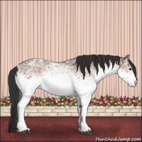 Horse Color:White Spotted Brown Ice 