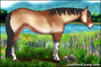 Horse Color:Bay Onyx 