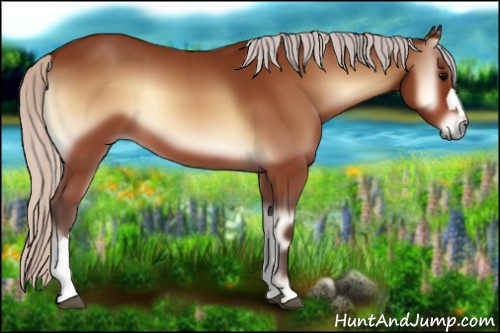 Horse Color:Silver Bay Onyx 