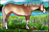 Horse Color:Silver Bay Onyx