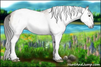 Horse Color:Gray Bay Onyx Tobiano 