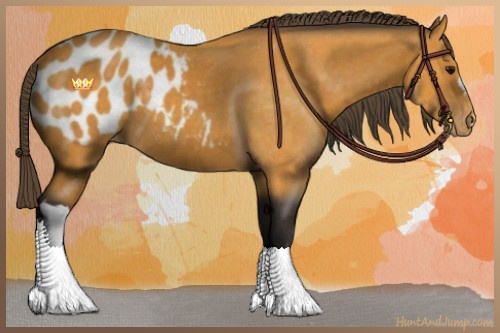 Horse Color:Buckskin Blanket 