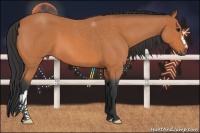 Horse Color:Bay Roan 