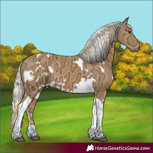 Horse Color:White Spotted Palomino Ice Tobiano 