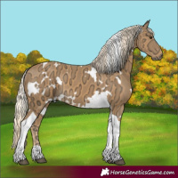 Horse Color:White Spotted Palomino Ice Tobiano 