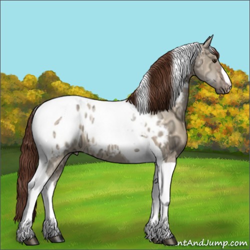 Horse Color:Buckskin Ice Dun Tobiano Blanket