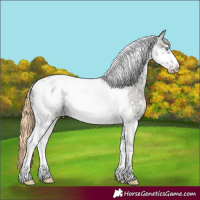 Horse Color:Amber Cream Champagne Ice Roan Pearl Tobiano Frame 