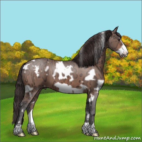 Horse Color:White Spotted Buckskin Ice Frame 