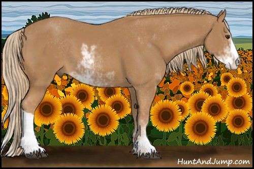 Horse Color:Chestnut Sabino