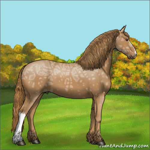 Horse Color:Chestnut Ice 