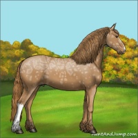 Horse Color:Chestnut Ice 