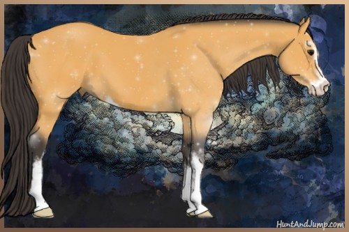 Horse Color:Buckskin Sabino 