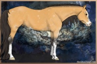 Horse Color:Buckskin Sabino