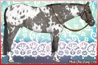 Horse Color:White Spotted Grullo Blanket