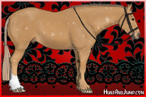 Horse Color:Palomino 