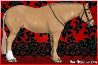 Horse Color:Palomino 