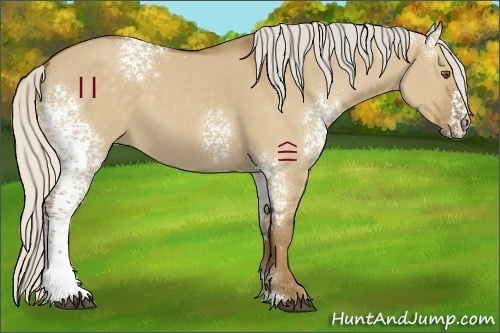 Horse Color:White Spotted Silver Smoky Grullo 