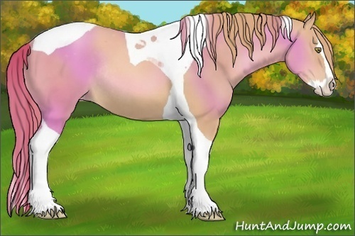 Horse Color:Gold Champagne Splash Tobiano Varnish Rabicano 