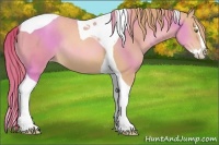 Horse Color:Gold Champagne Splash Tobiano Varnish Rabicano 