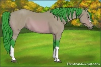 Horse Color:Watercolor Bay 