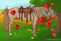 Horse Color:Red Dun Sabino Rabicano 