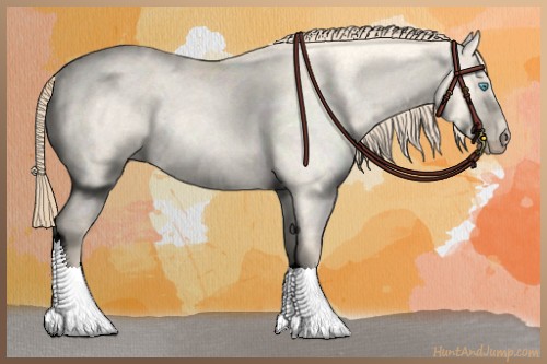 Horse Color:Perlino Roan Dun 