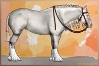 Horse Color:Perlino Roan Dun 