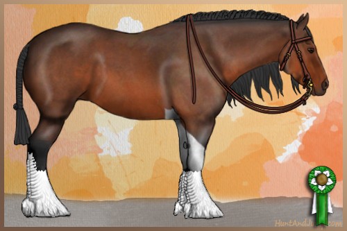 Horse Color:Bay Roan Tobiano
