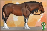 Horse Color:Bay Roan Tobiano