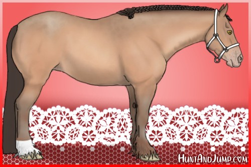 Horse Color:Sable Champagne 
