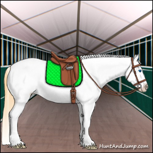 Horse Color:Amber Cream Champagne Dun Splash Blanket